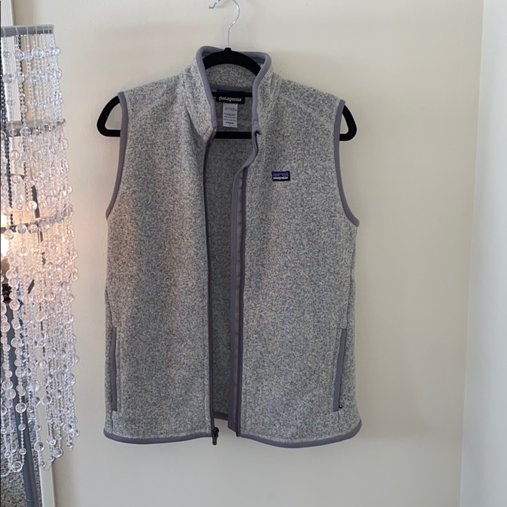 Patagonia Zippered Down light grey Vest